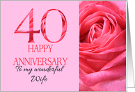 40th Anniversary to Wife Pink Rose Close Up card