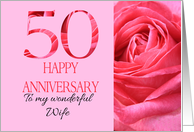 50th Anniversary to Wife Pink Rose Close Up card