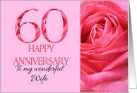 60th Anniversary to Wife Pink Rose Close Up card