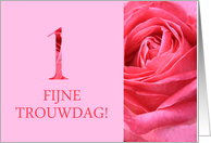 1st Anniversary Dutch Fijne Trouwdag - Pink rose close up card