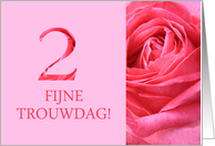 2nd Anniversary Dutch Fijne Trouwdag - Pink rose close up card