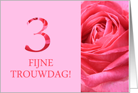 3rd Anniversary Dutch Fijne Trouwdag - Pink rose close up card