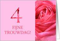 4th Anniversary Dutch Fijne Trouwdag - Pink rose close up card