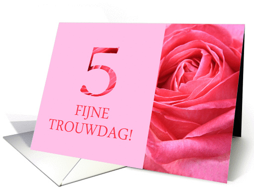 5th Anniversary Dutch Fijne Trouwdag - Pink rose close up card