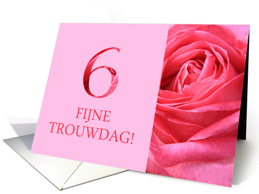 6th Anniversary Dutch Fijne Trouwdag - Pink rose close up card