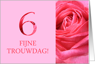 6th Anniversary Dutch Fijne Trouwdag - Pink rose close up card