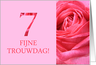 7th Anniversary Dutch Fijne Trouwdag - Pink rose close up card