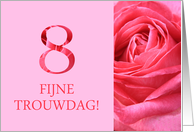 8th Anniversary Dutch Fijne Trouwdag - Pink rose close up card