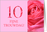 10th Anniversary Dutch Fijne Trouwdag - Pink rose close up card
