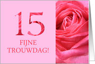 15th Anniversary Dutch Fijne Trouwdag - Pink rose close up card