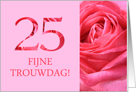 25th Anniversary Dutch Fijne Trouwdag - Pink rose close up card