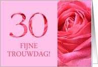 30th Anniversary Dutch Fijne Trouwdag - Pink rose close up card
