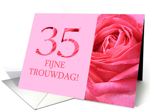 35th Anniversary Dutch Fijne Trouwdag - Pink rose close up card