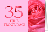 35th Anniversary Dutch Fijne Trouwdag - Pink rose close up card