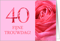 40th Anniversary Dutch Fijne Trouwdag - Pink rose close up card
