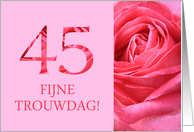 45th Anniversary Dutch Fijne Trouwdag - Pink rose close up card