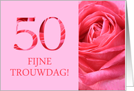 50th Anniversary Dutch Fijne Trouwdag - Pink rose close up card
