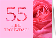 55th Anniversary Dutch Fijne Trouwdag - Pink rose close up card
