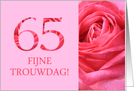 65th Anniversary Dutch Fijne Trouwdag - Pink rose close up card