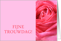 Anniversary Dutch Fijne Trouwdag - Pink rose close up card