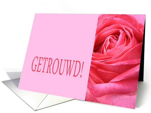 Getrouwd - Dutch wedding congratulations - Pink rose close up card