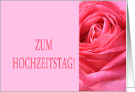 Zum Hochzeitstag - German wedding congratulations - Pink rose close up card