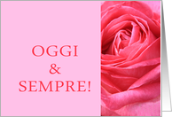 Italian Wedding Congratulations Oggi e Sempre Pink Rose Close Up card