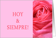 Hoy y Siempre- Spanish wedding congratulations - Pink rose close up card