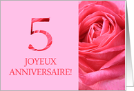 5th Anniversary French - Heureux Mariage - Pink rose close up card