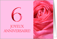 6th Anniversary French - Heureux Mariage - Pink rose close up card