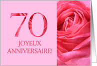 70th Anniversary French - Heureux Mariage - Pink rose close up card