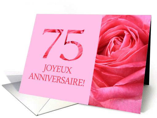 75th Anniversary French - Heureux Mariage - Pink rose close up card
