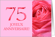 75th Anniversary French - Heureux Mariage - Pink rose close up card