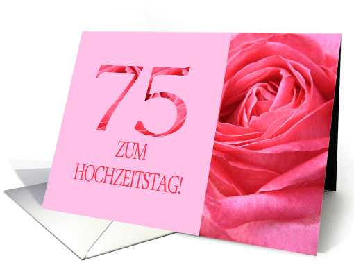 75th Anniversary German Zum Hochzeitstag - Pink rose close up card