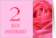 2nd Anniversary Italian Buon Anniversario - Pink rose close up card