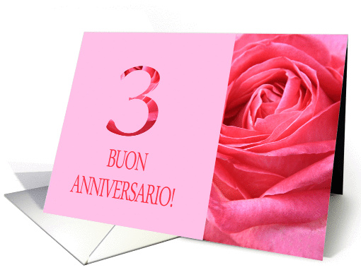 3rd Anniversary Italian Buon Anniversario - Pink rose close up card