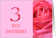 3rd Anniversary Italian Buon Anniversario - Pink rose close up card