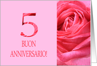 5th Anniversary Italian Buon Anniversario - Pink rose close up card