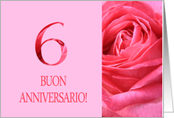 6th Anniversary Italian Buon Anniversario - Pink rose close up card