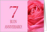 7th Anniversary Italian Buon Anniversario - Pink rose close up card