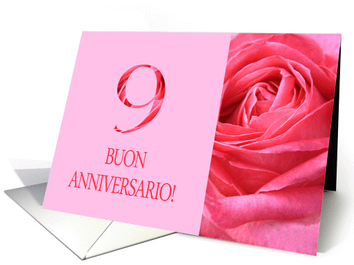 9th Anniversary Italian Buon Anniversario - Pink rose close up card