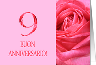 9th Anniversary Italian Buon Anniversario - Pink rose close up card