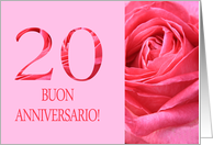 20th Anniversary Italian Buon Anniversario - Pink rose close up card
