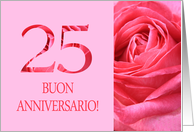 25th Anniversary Italian Buon Anniversario - Pink rose close up card