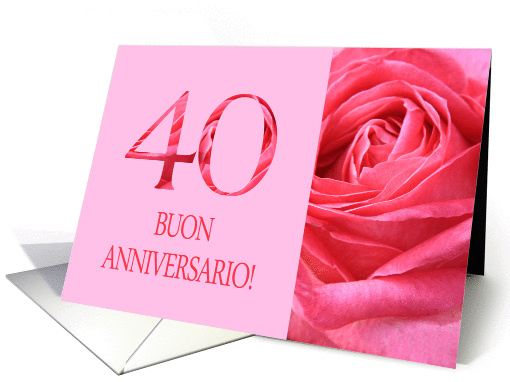40th Anniversary Italian Buon Anniversario - Pink rose close up card