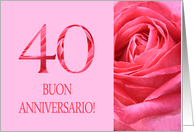 40th Anniversary Italian Buon Anniversario - Pink rose close up card