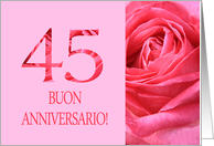 45th Anniversary Italian Buon Anniversario - Pink rose close up card