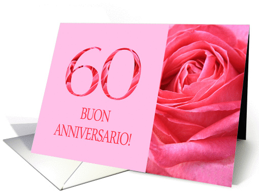 60th Anniversary Italian Buon Anniversario - Pink rose close up card