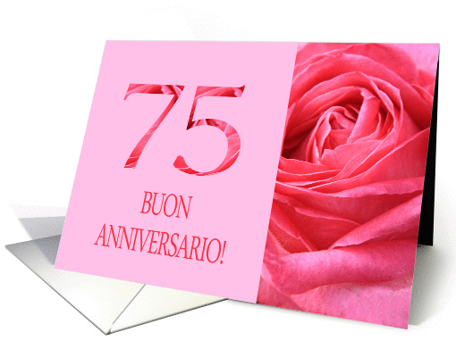 75th Anniversary Italian Buon Anniversario - Pink rose close up card