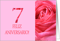 7th Anniversary Spanish Feliz Aniversario Pink Rose Close Up card
